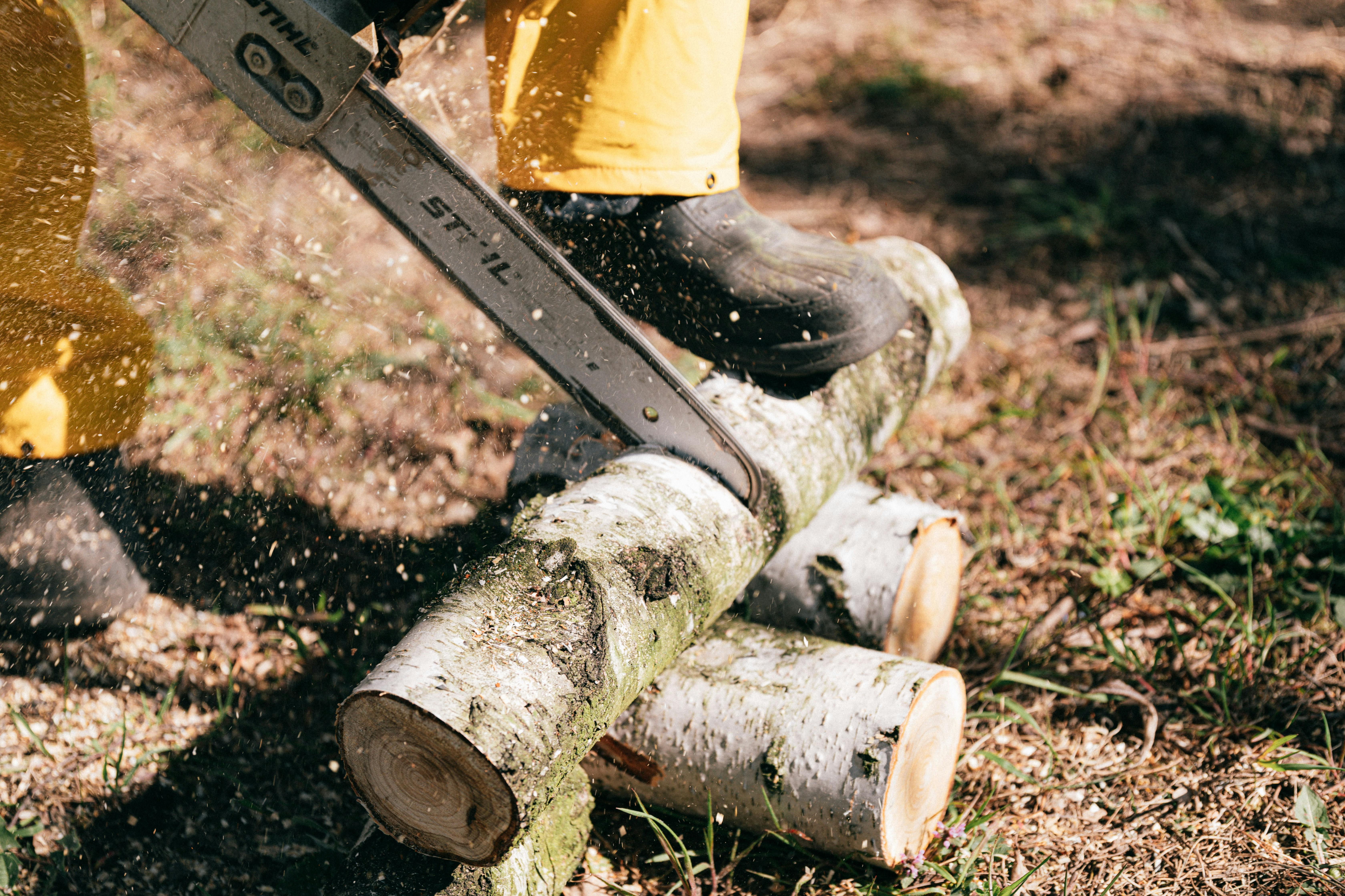 Stihl Akku Kettensäge in Aktion