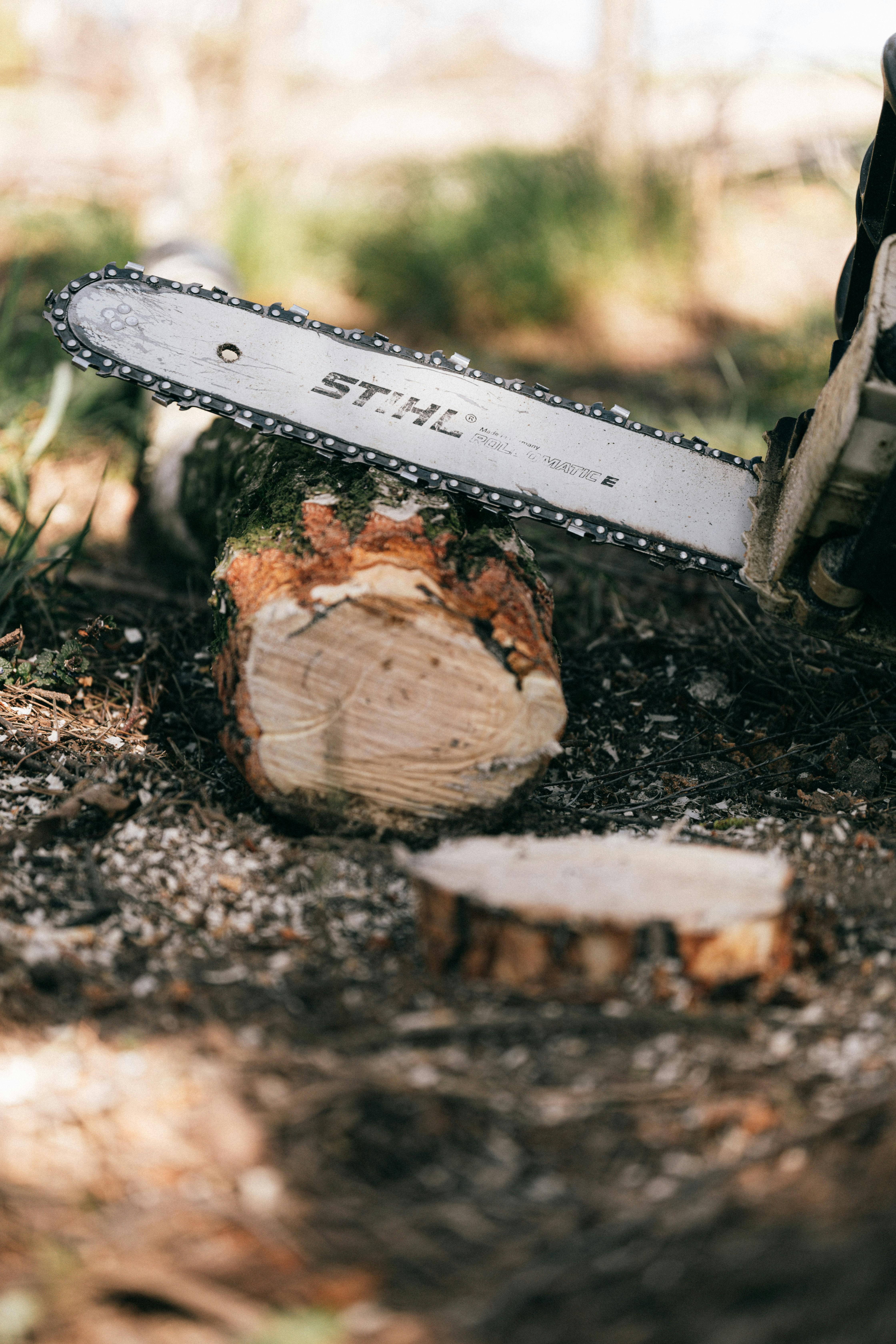 Stihl Akku Kettensäge im Einsatz